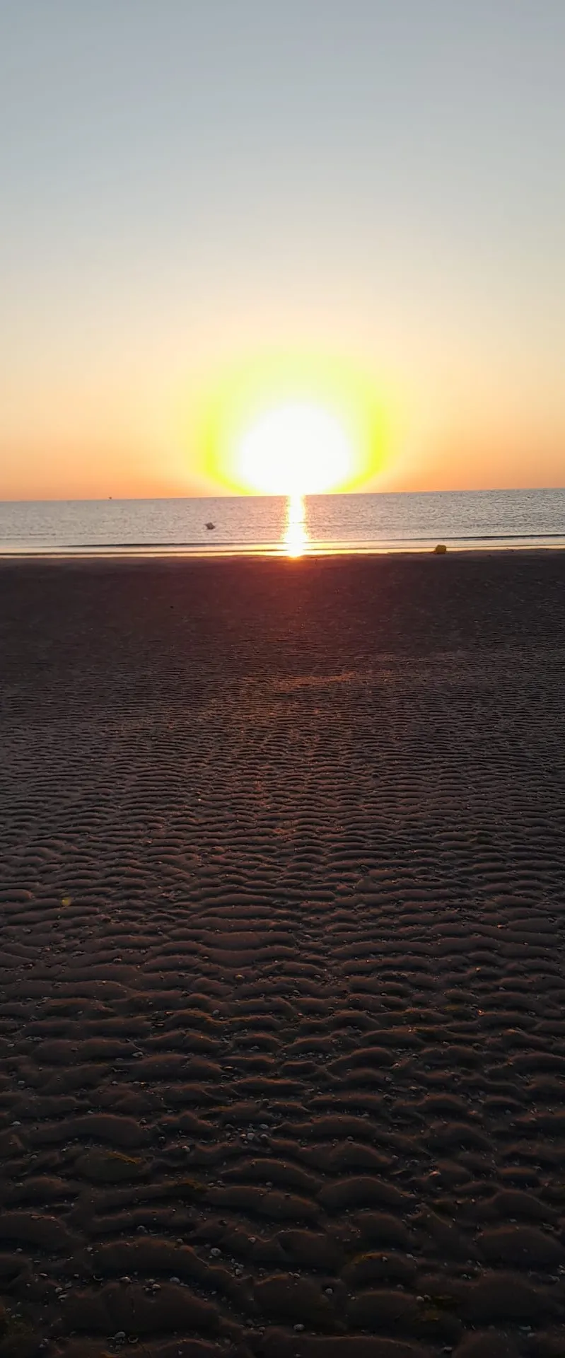 Foto alba