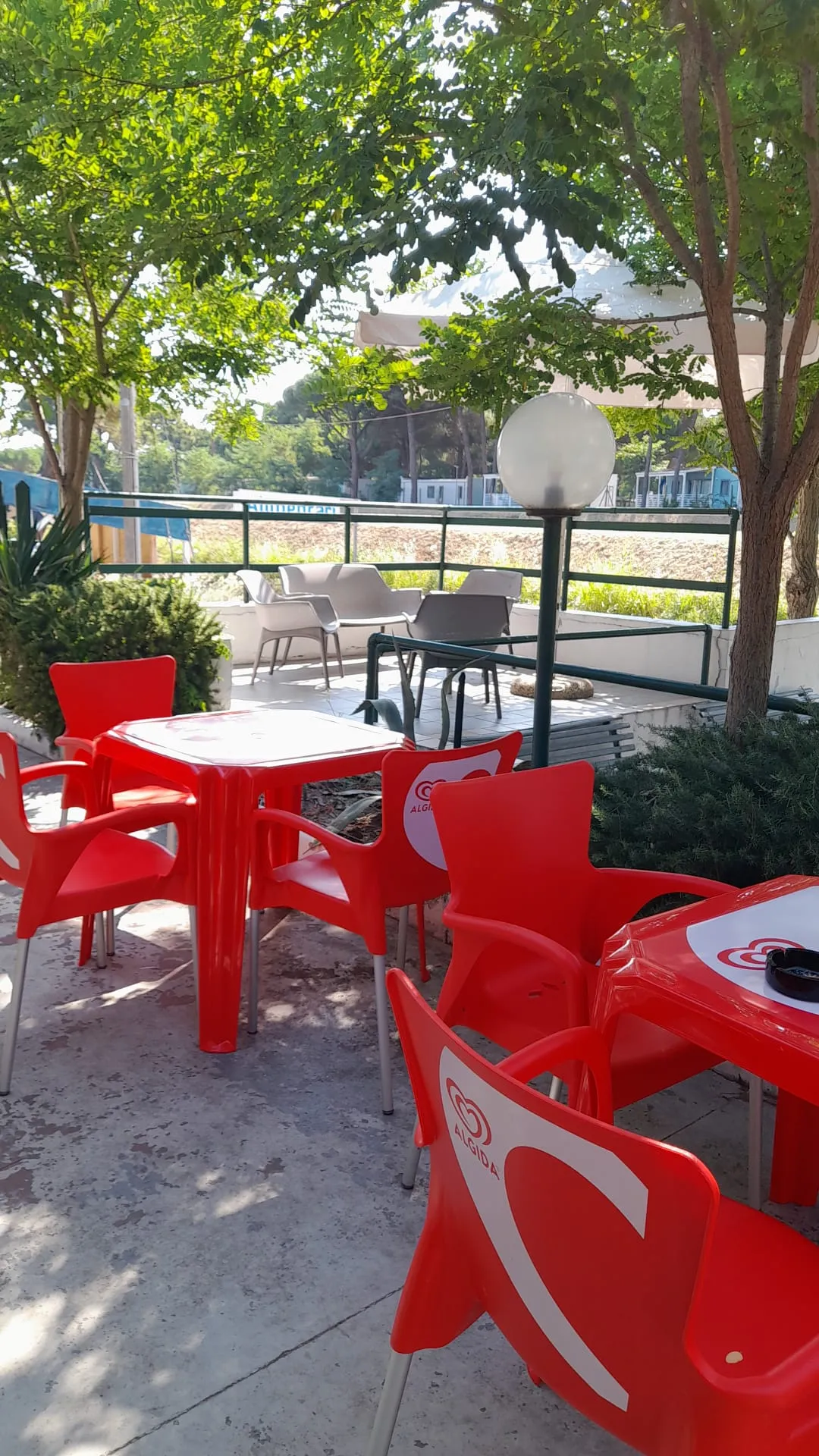Foto locale